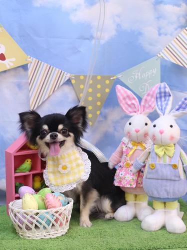 20240310ラブくん